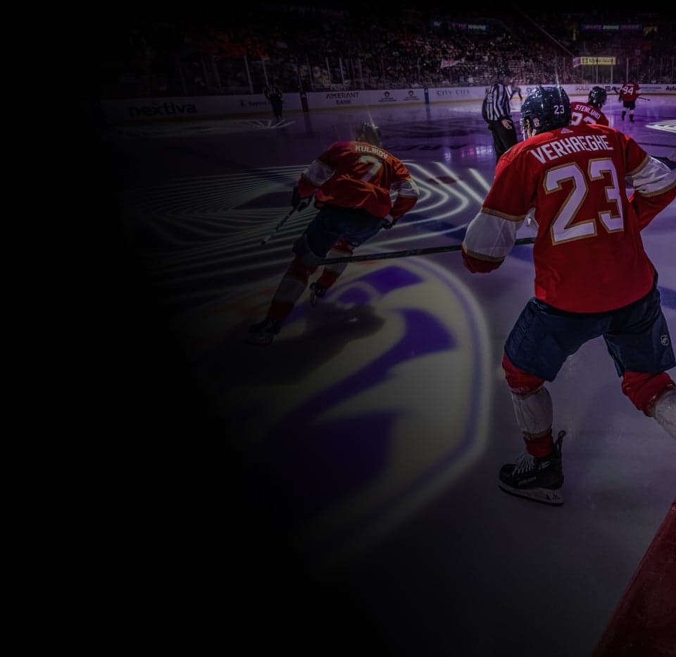 NHL Hockey Tickets, 2024 Games & Locations SeatGeek