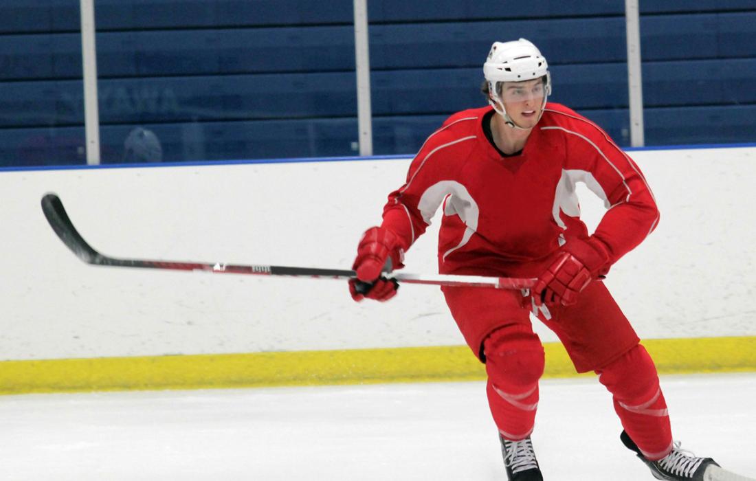 Toronto Marlies at Charlotte Checkers