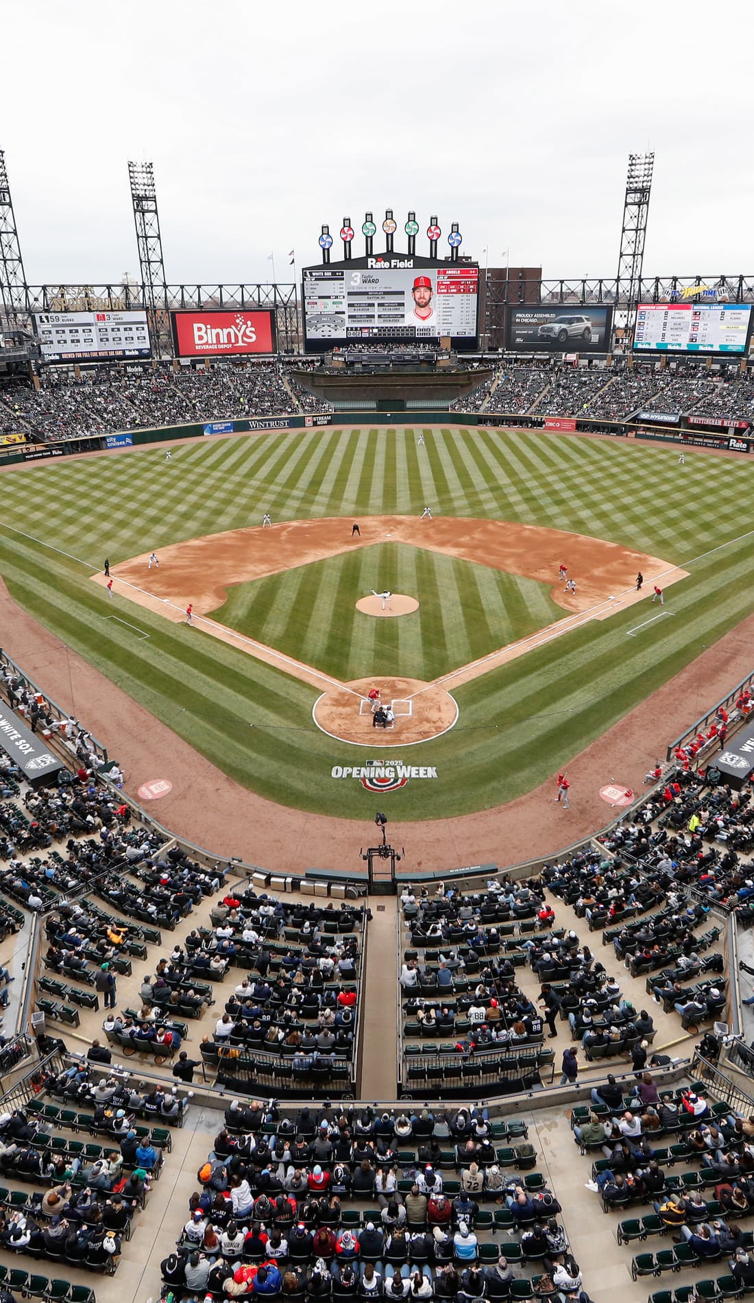 Chicago White Sox Tickets 2023 White Sox Games SeatGeek