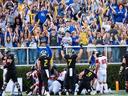 Delaware Blue Hens Football