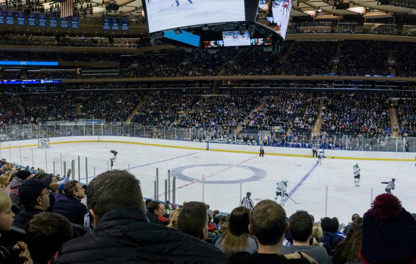 NHL Hockey Tickets, 2024 Games & Locations SeatGeek