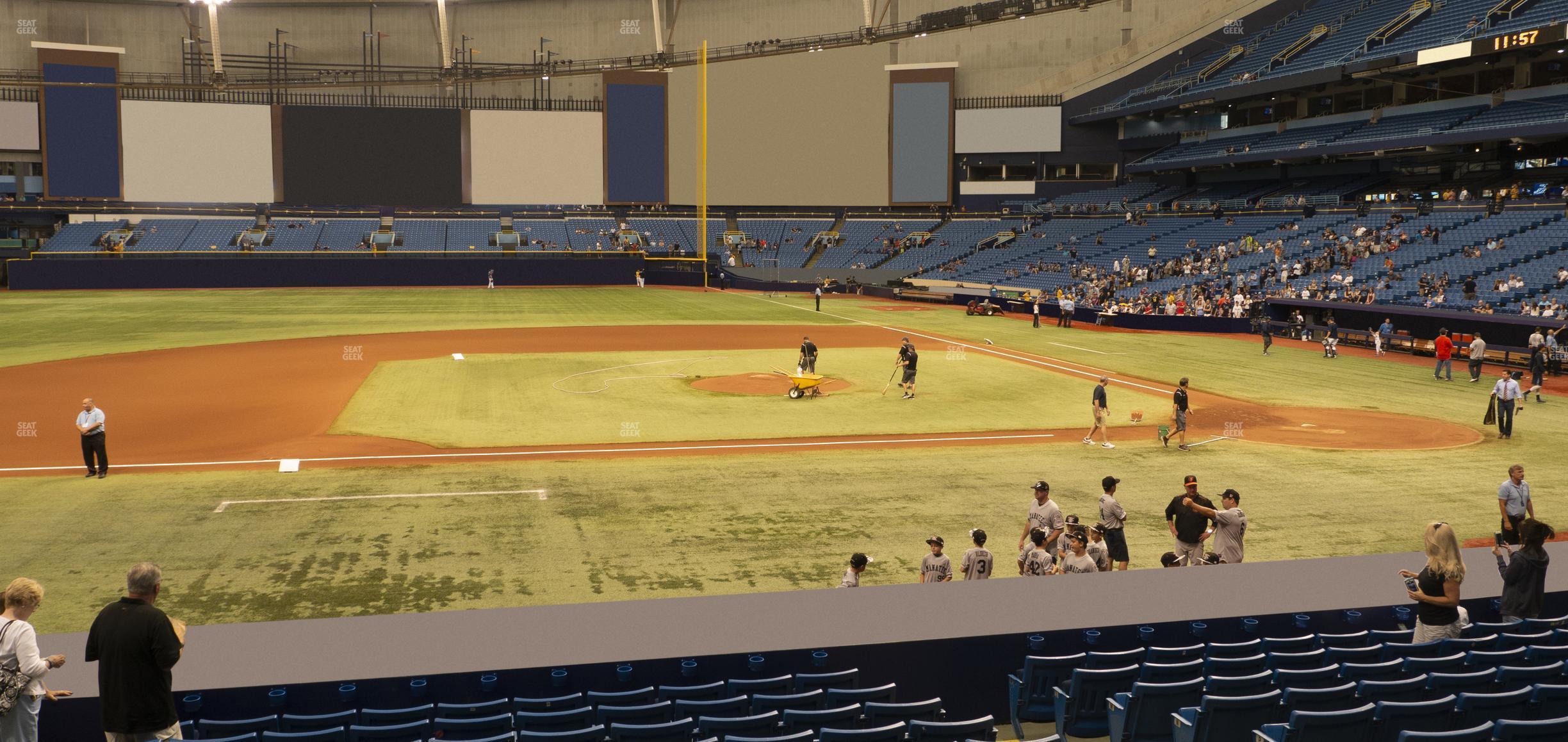 Seating view for Tropicana Field Section 115