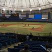 Preview of Seating view for Tropicana Field Section 105