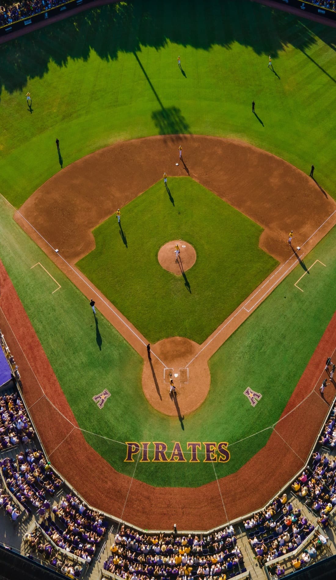 East Carolina Pirates Baseball 2023 2024 Preseason Game Tickets East carolina pirates baseball 2023 2024 preseason game tickets
