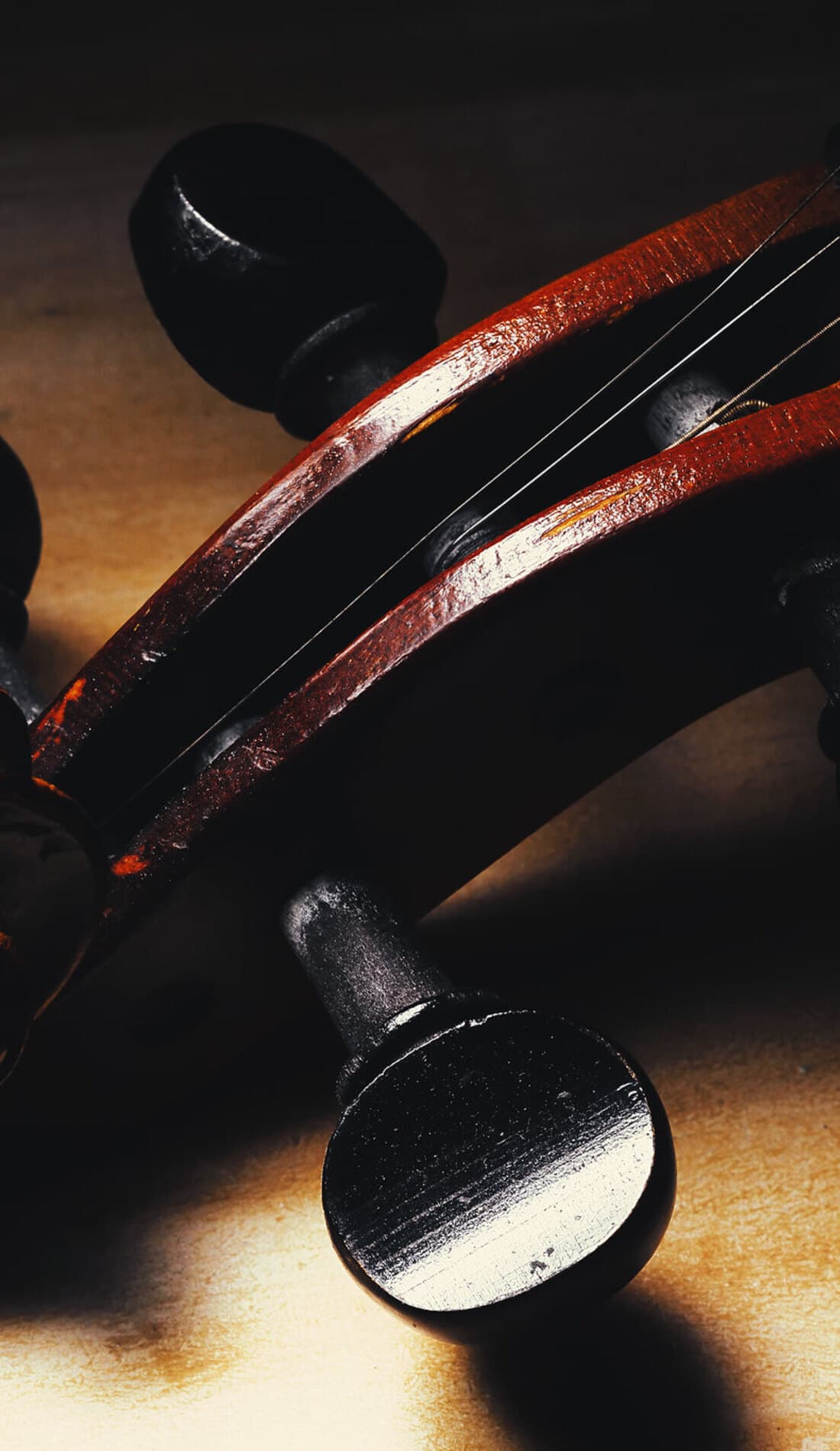 Rachel Fuller's Animal Requiem Tickets, 2025 Showtimes & Locations